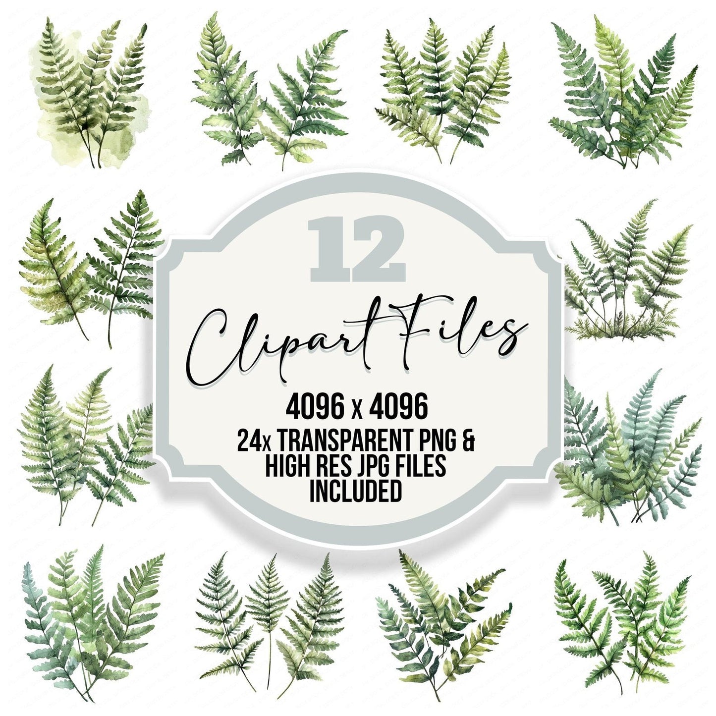 Watercolour Ferns Clipart Set (DDD007112)