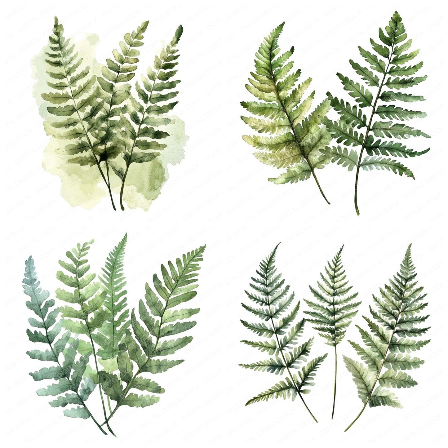 Watercolour Ferns Clipart Set (DDD007112)