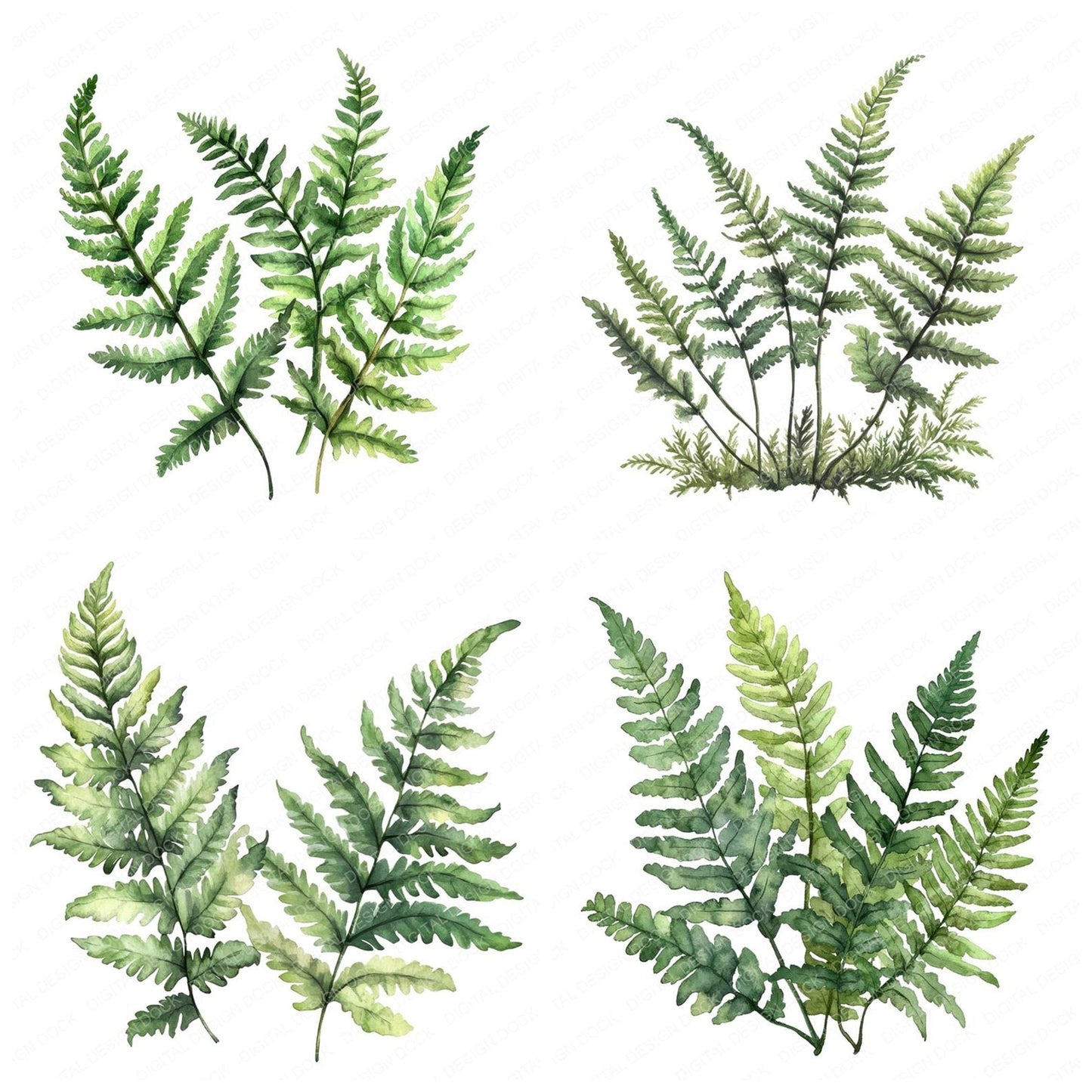 Watercolour Ferns Clipart Set (DDD007112)