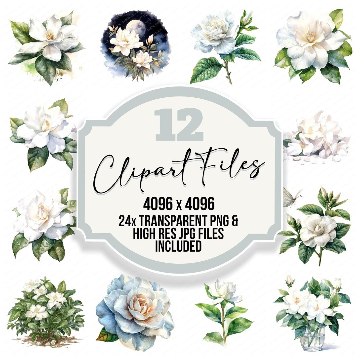 Watercolour Gardenia Clipart Set (DDD007135)