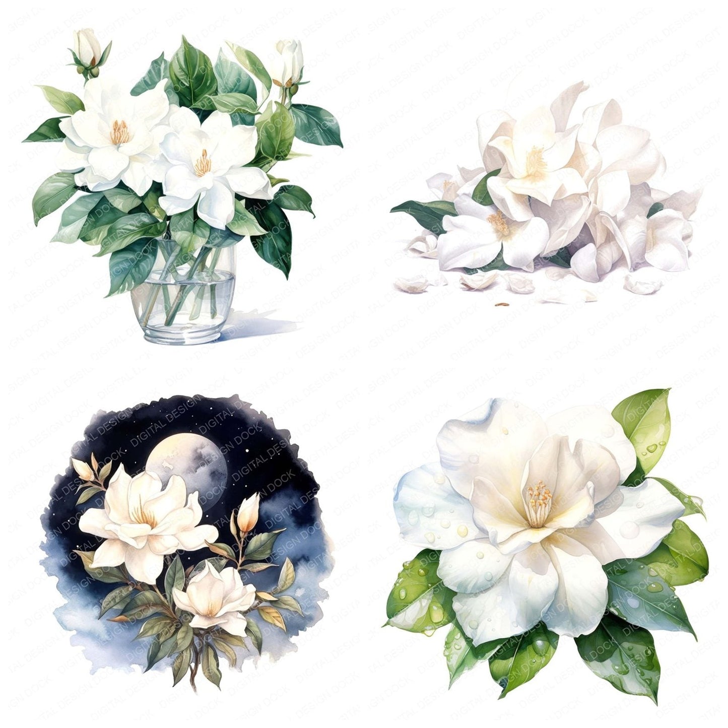 Watercolour Gardenia Clipart Set (DDD007135)