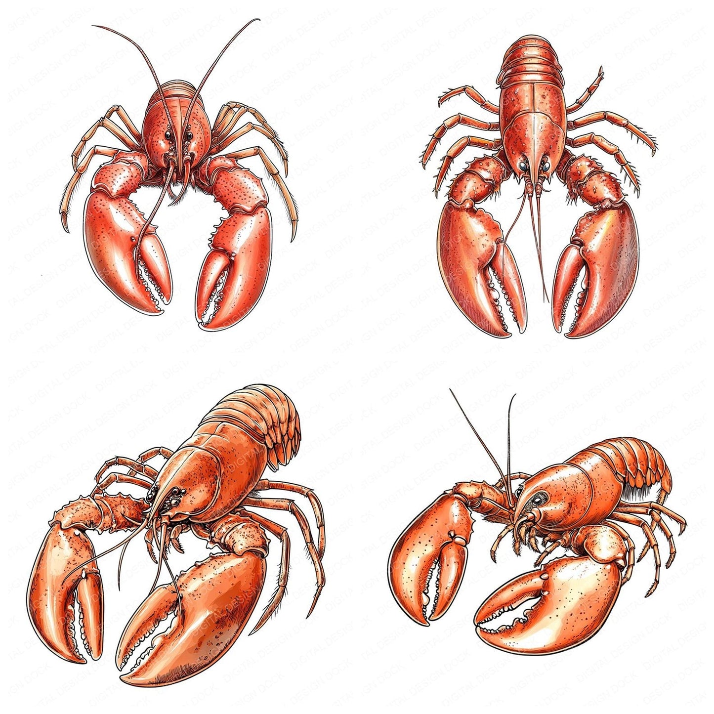 Watercolour Red Lobster Clipart Set (DDD007308)