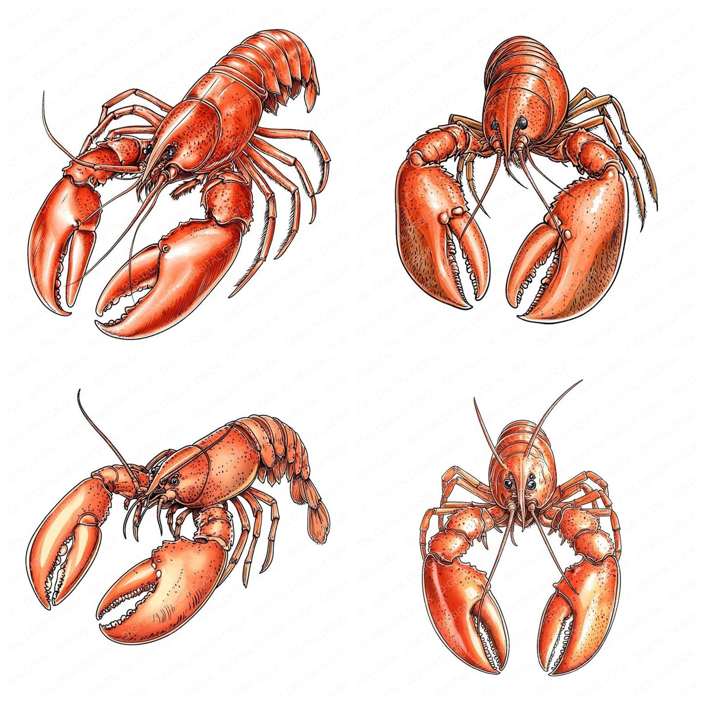 Watercolour Red Lobster Clipart Set (DDD007308)