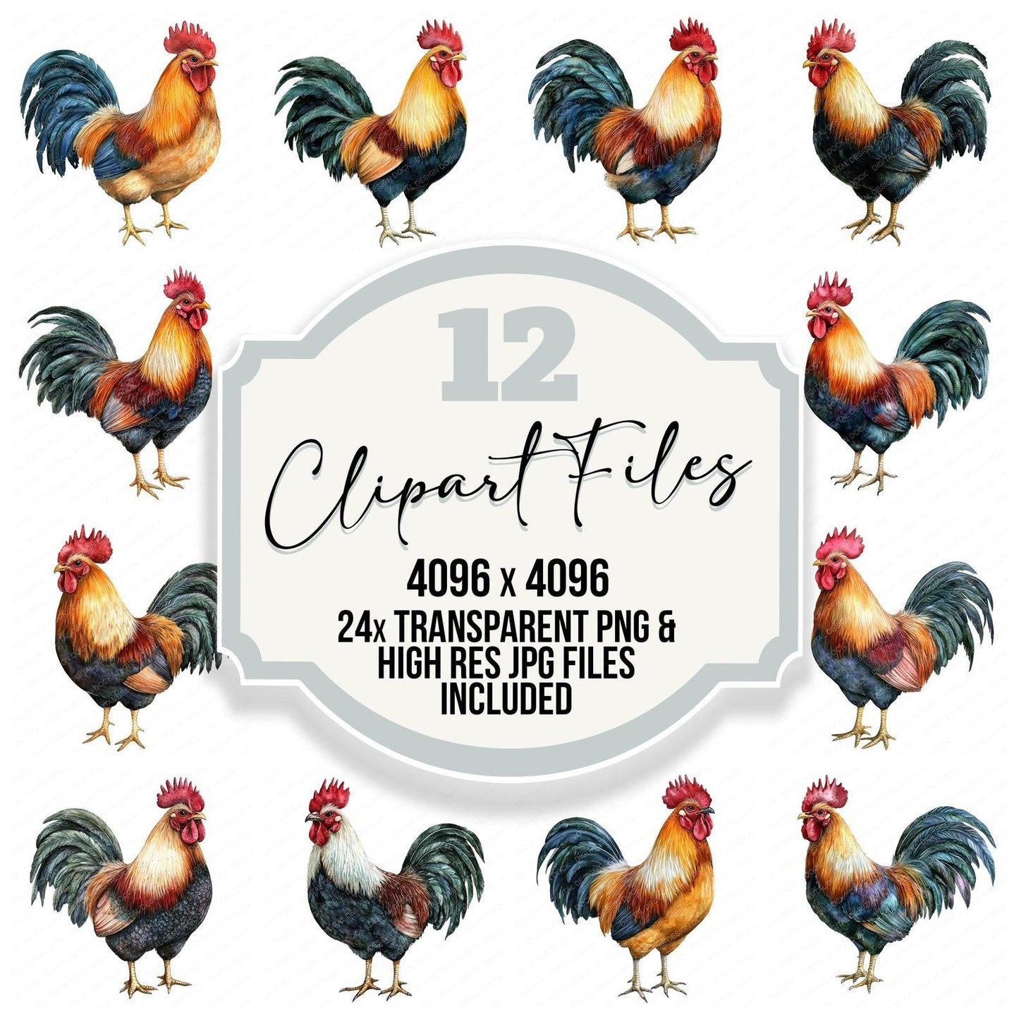 Watercolour Rooster Clipart Set (DDD007317)