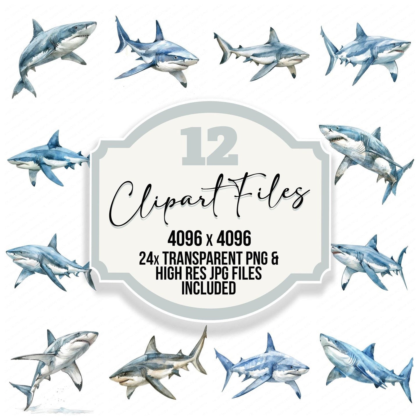 Watercolour Shark Clipart Set (DDD007330)