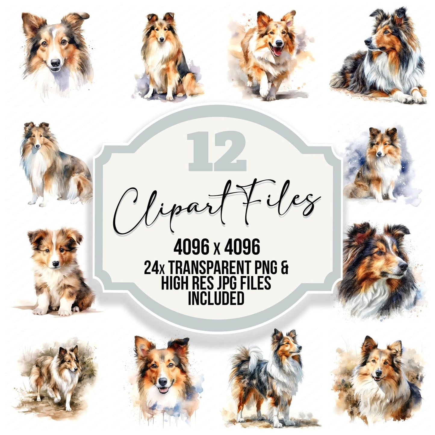 Watercolour Shetland Sheepdog Clipart Set (DDD007332)