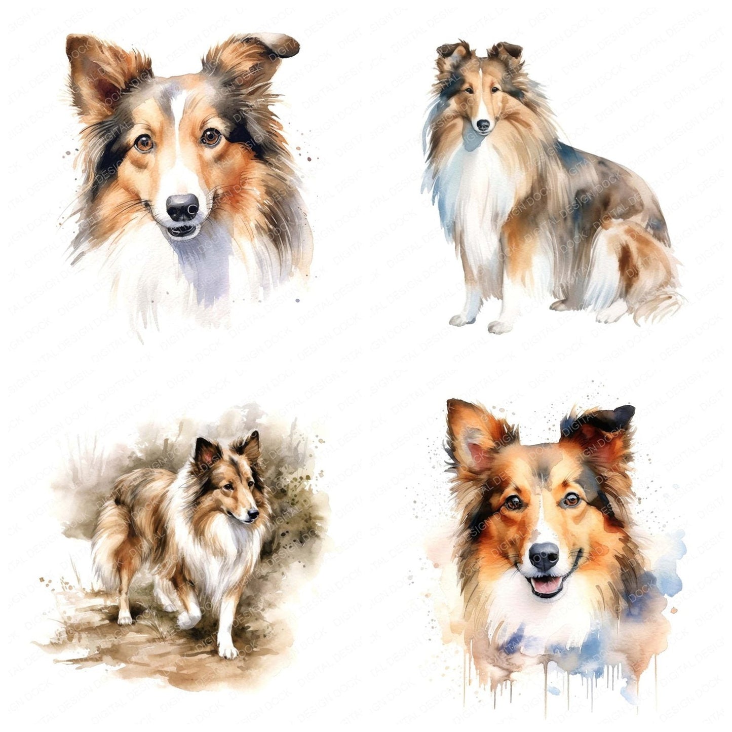Watercolour Shetland Sheepdog Clipart Set (DDD007332)