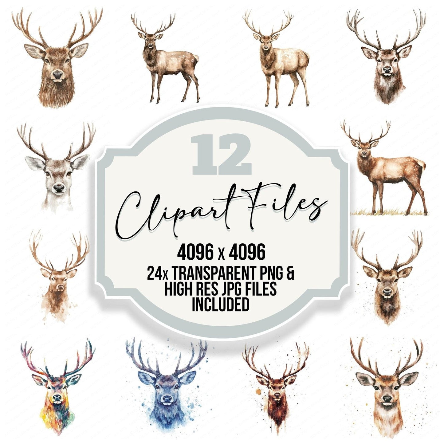 Watercolour Stag Clipart Set (DDD007379)
