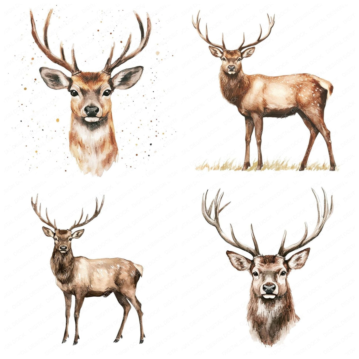 Watercolour Stag Clipart Set (DDD007379)