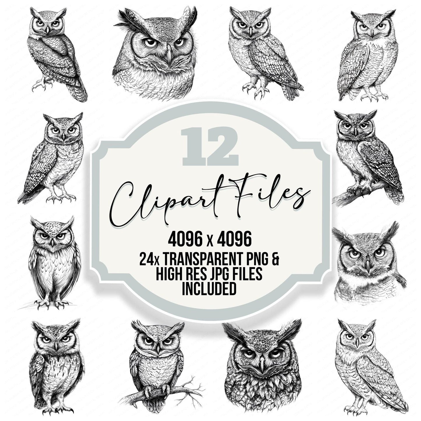 Wise Owl Drawing Clipart Set (DDD007525)