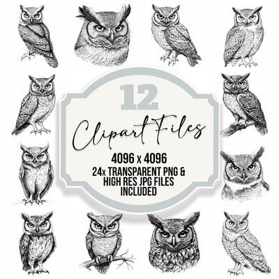 Wise Owl Drawing Clipart Set (DDD007525)
