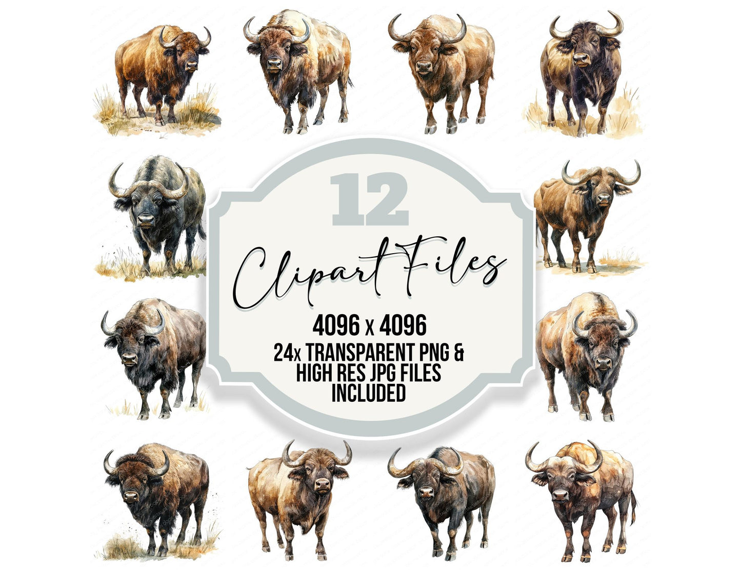 Working Buffalo Clipart Set (DDD007587)