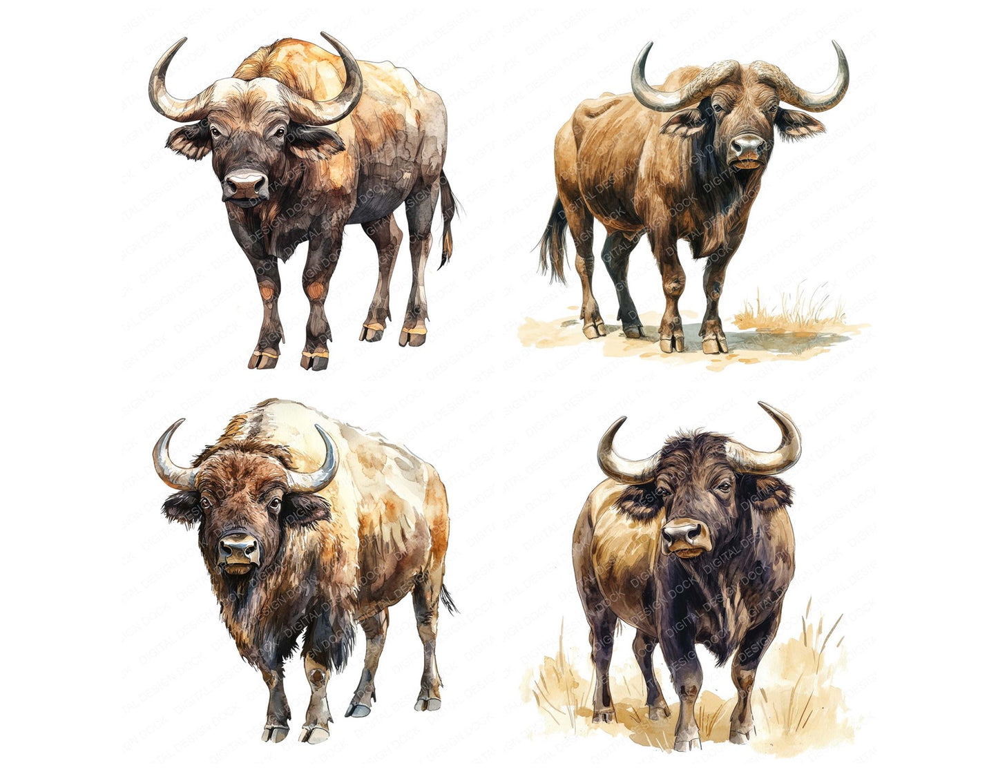 Working Buffalo Clipart Set (DDD007587)