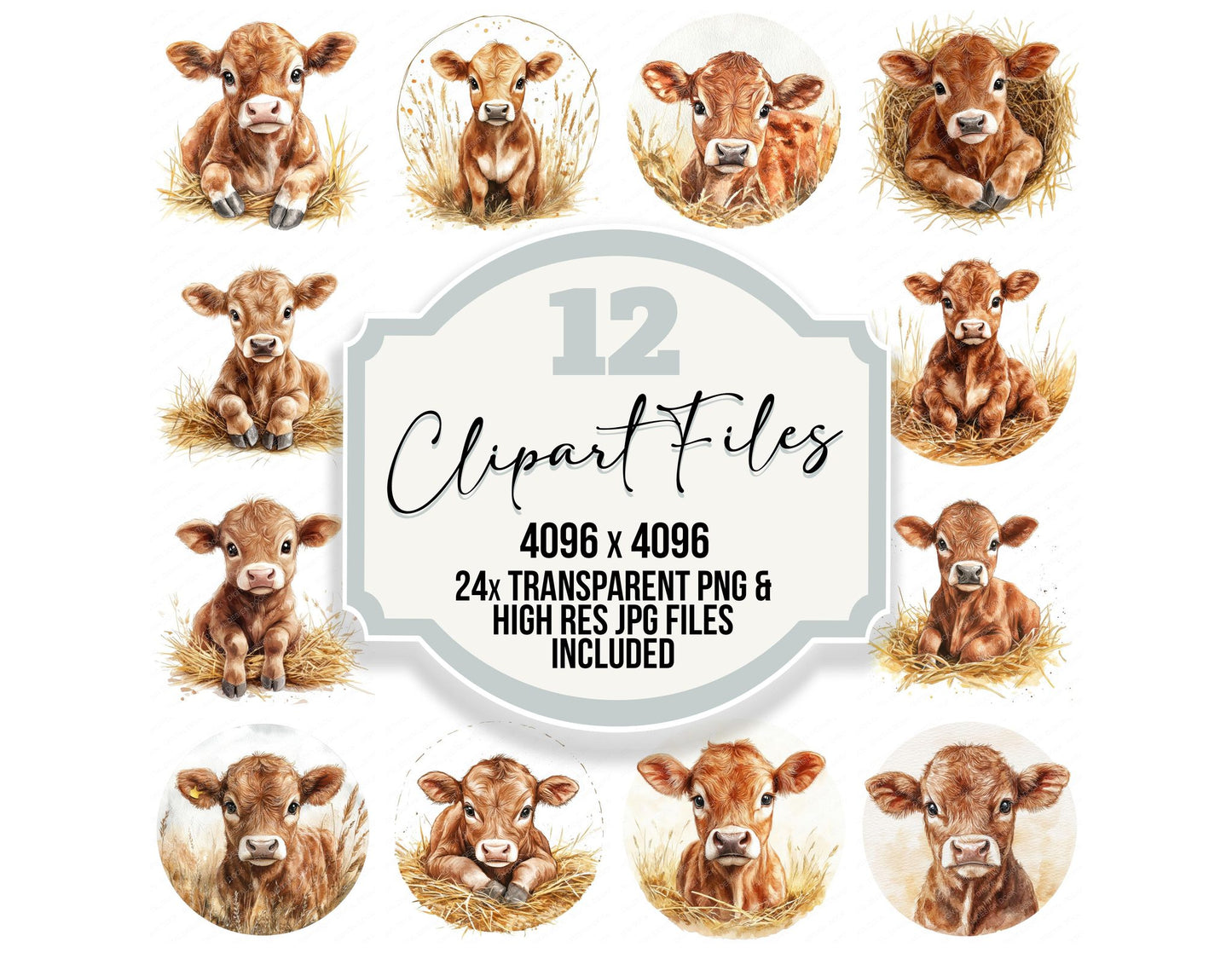 Young Brown Cow Clipart Set (DDD007602)