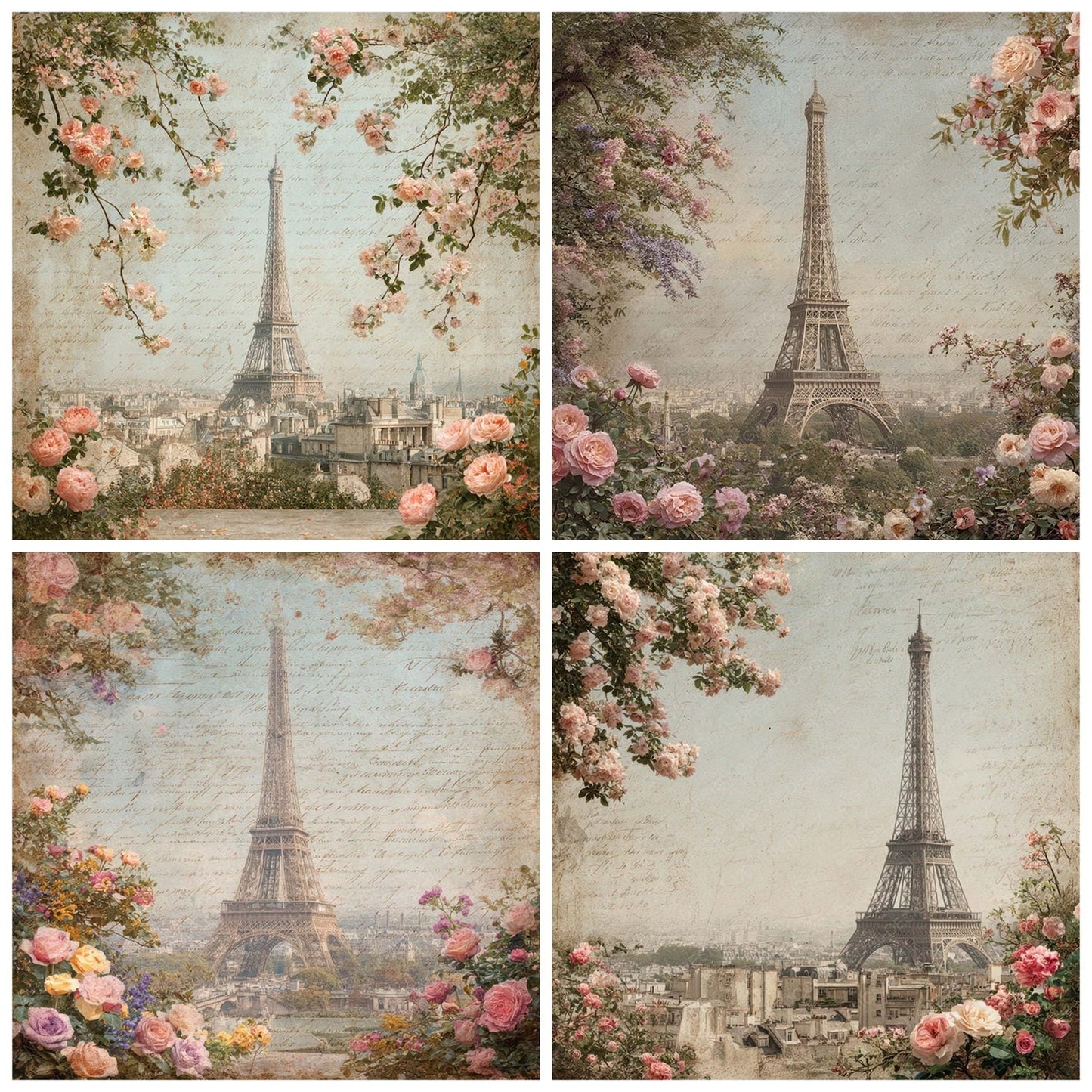 France Charm Paris Roses Digital Paper Pack (DDD007773)