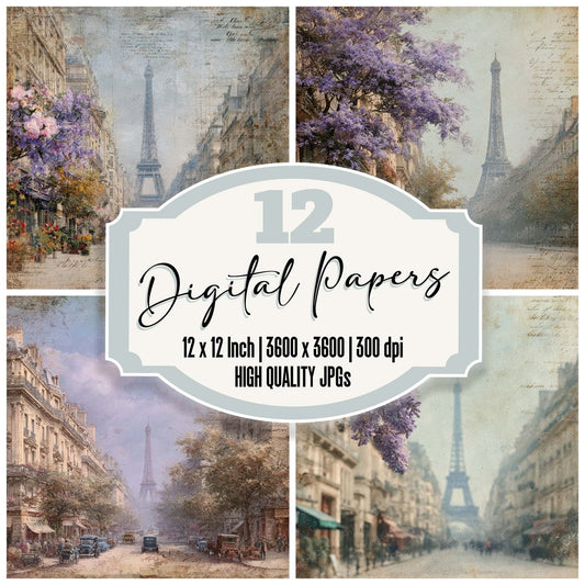 France Charm Paris Street Digital Paper Pack (DDD007774)