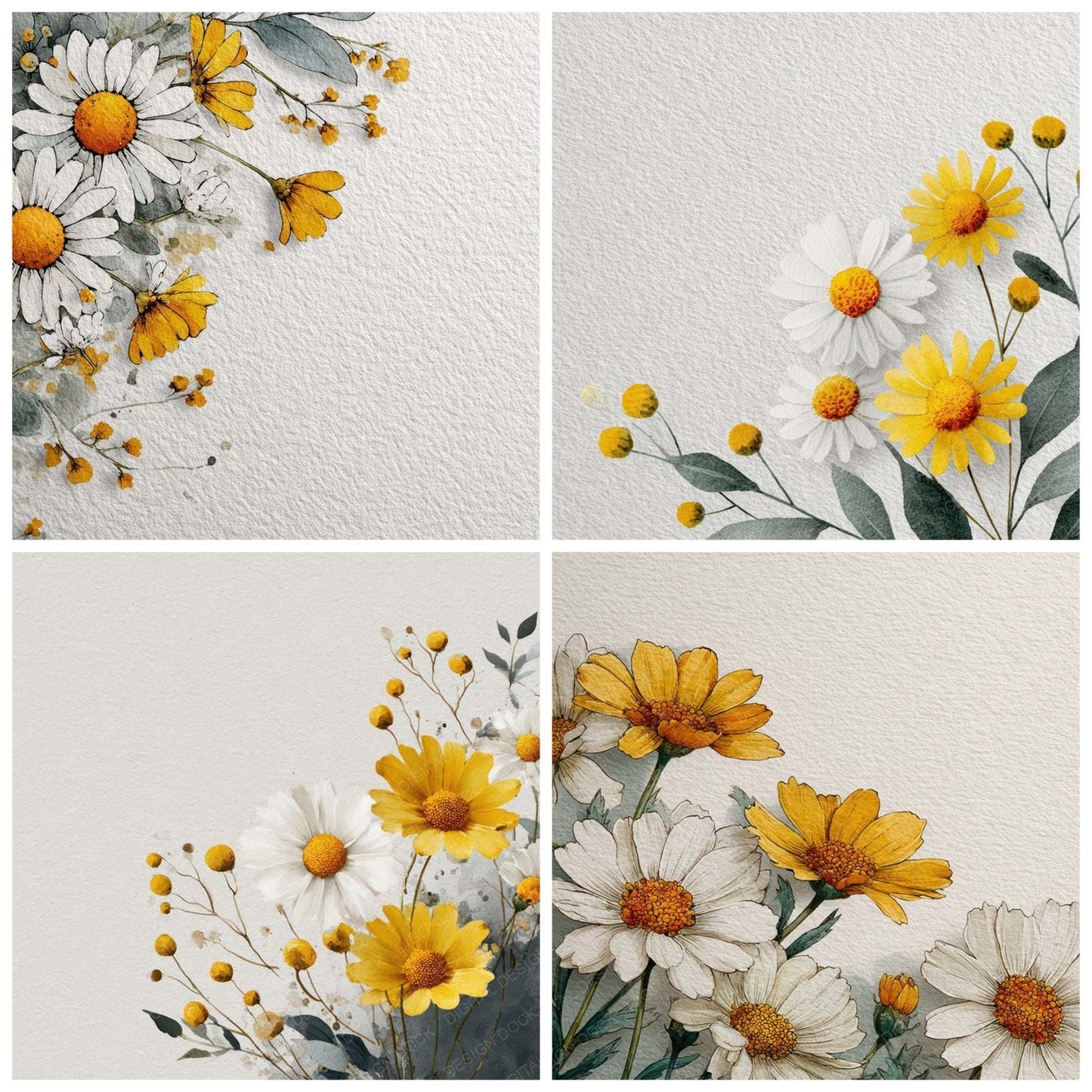 Daisy Floral Border Digital Paper Pack (DDD007874)