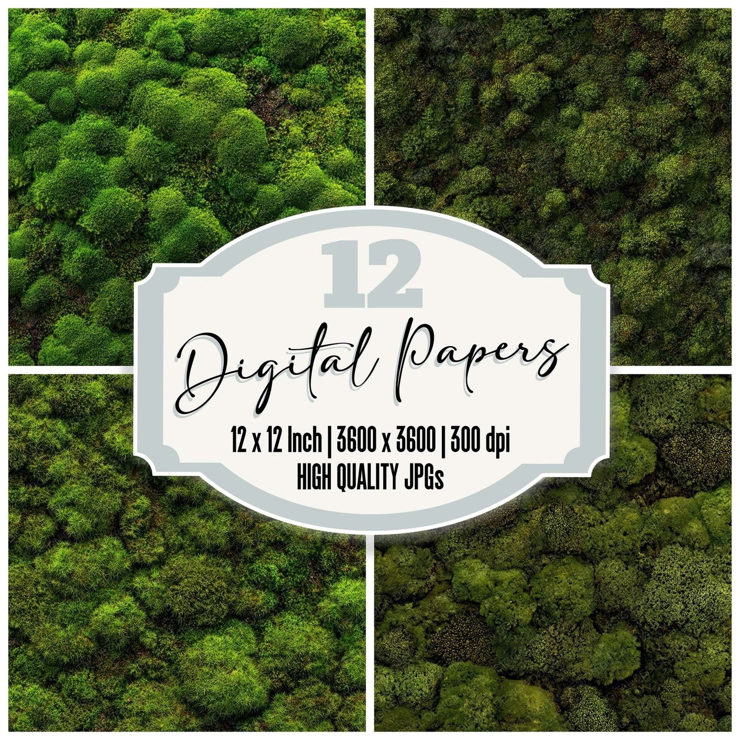 Green Moss Texture Digital Paper Pack (DDD008097)