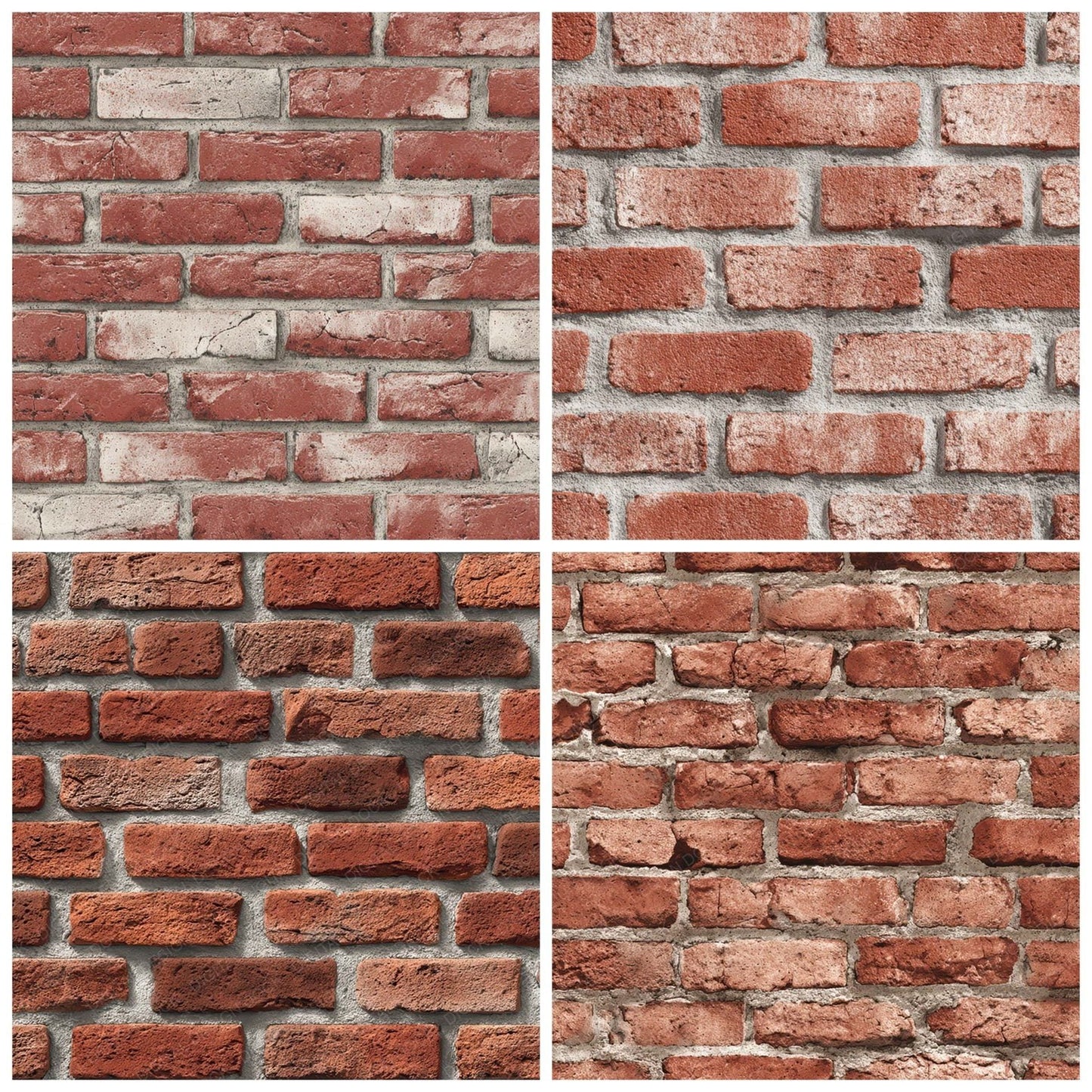 Red Brick Wall Digital Paper Pack (DDD008140)
