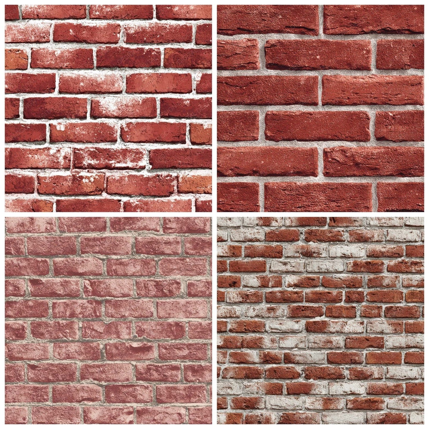 Red Brick Wall Digital Paper Pack (DDD008140)