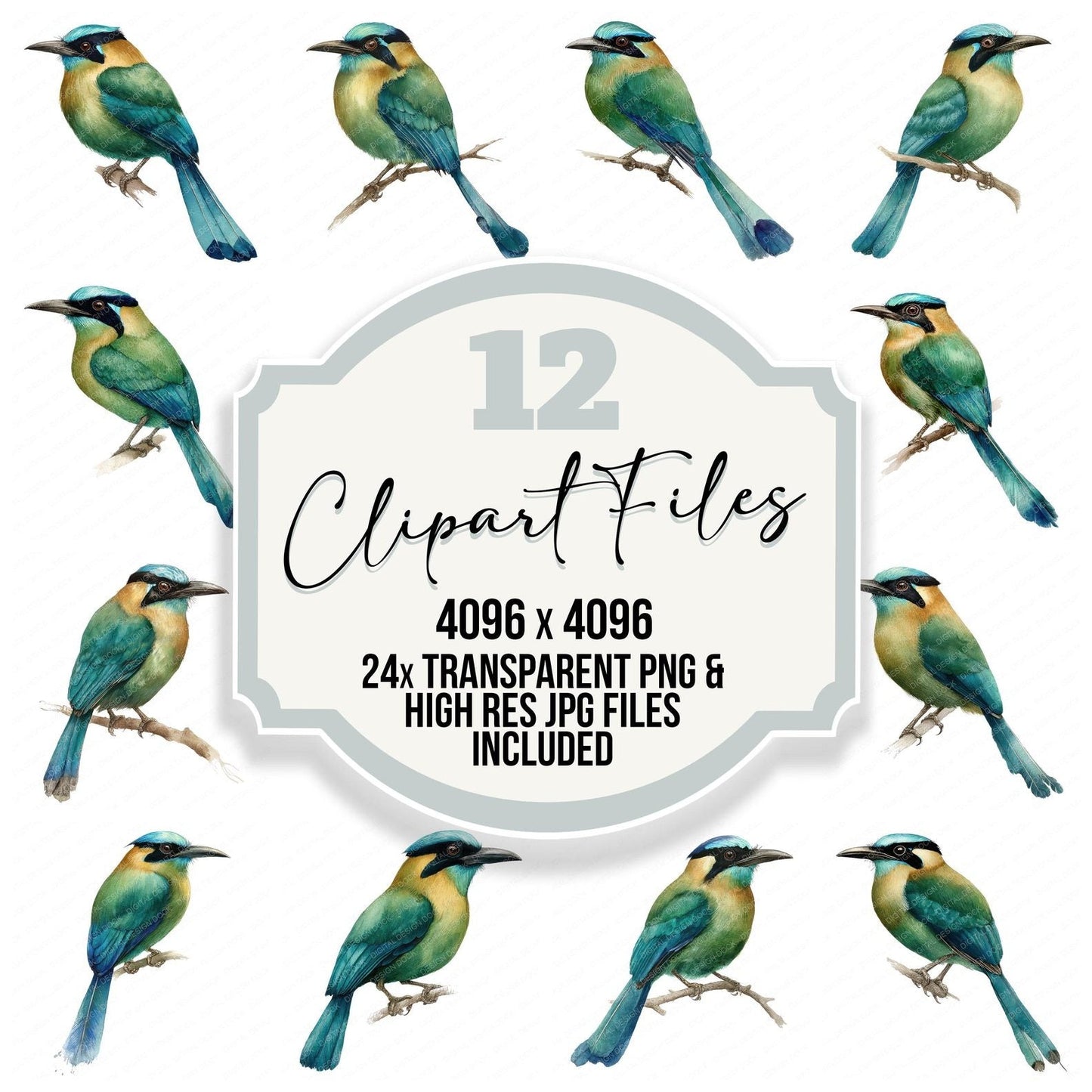 Blue Crowned Motmot Exotic Bird Clipart Set (DDD008208)