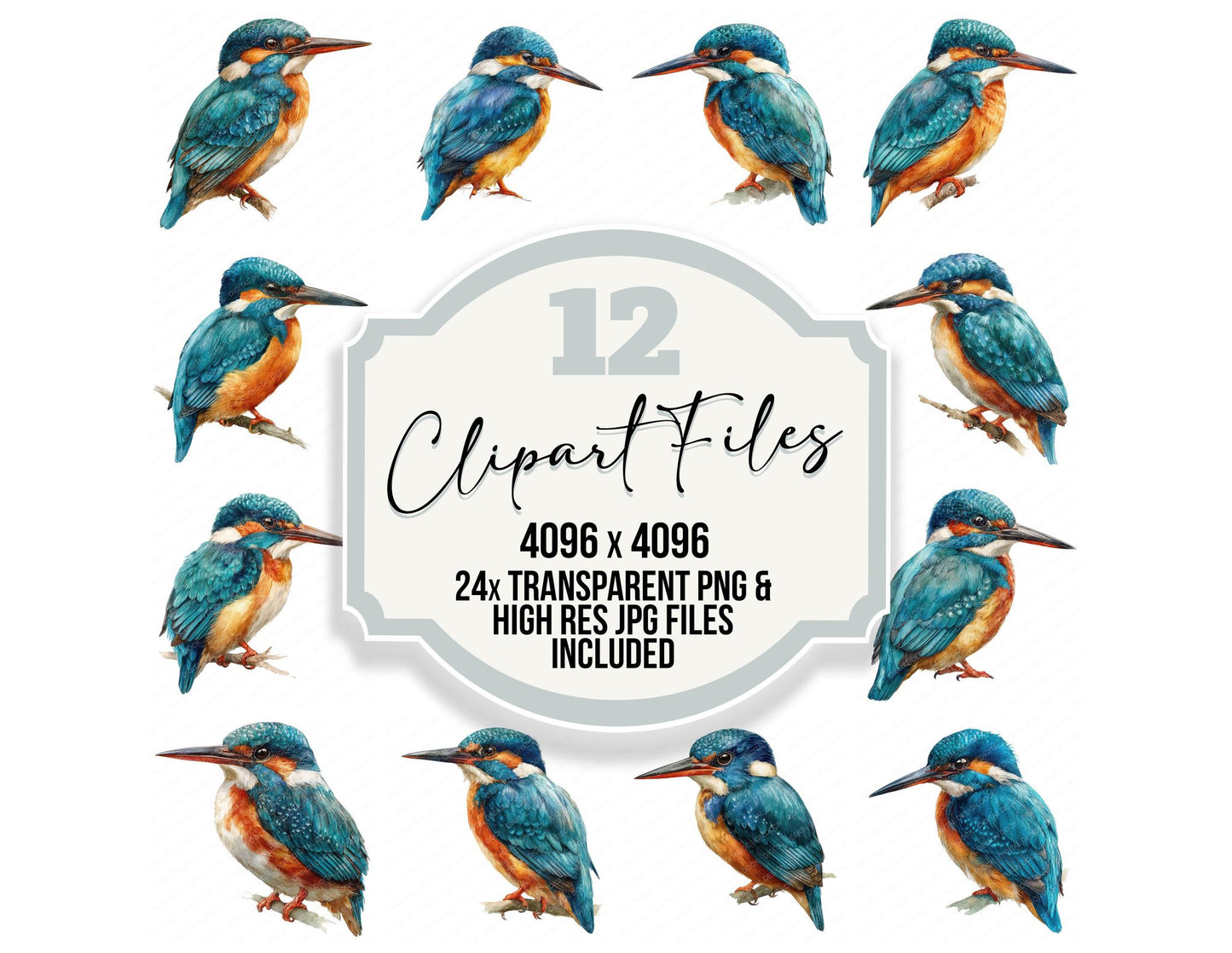 Malachite Kingfisher Exotic Bird Clipart Set (DDD008217)