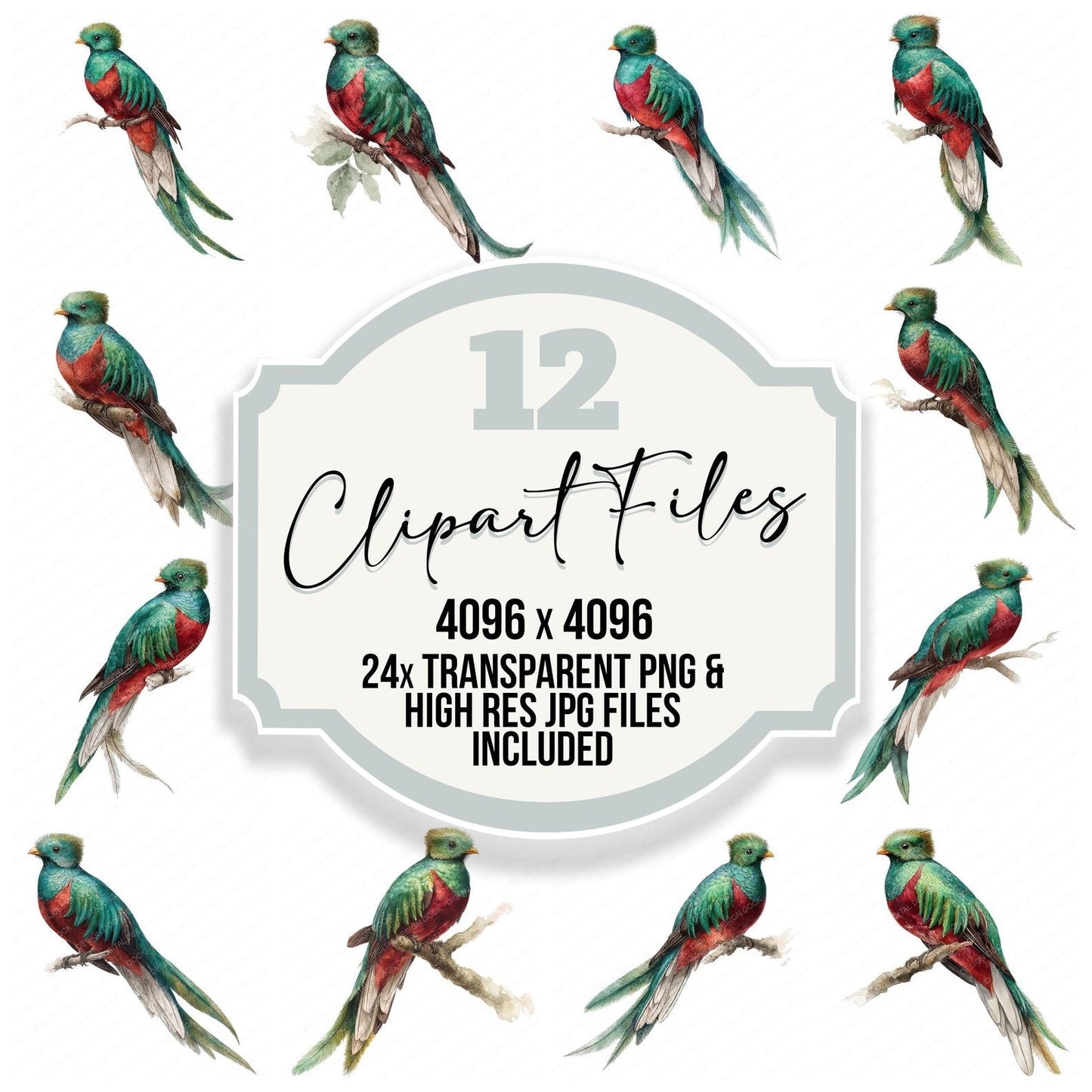 Resplendent Quetzal Exotic Bird Clipart Set (DDD008220)