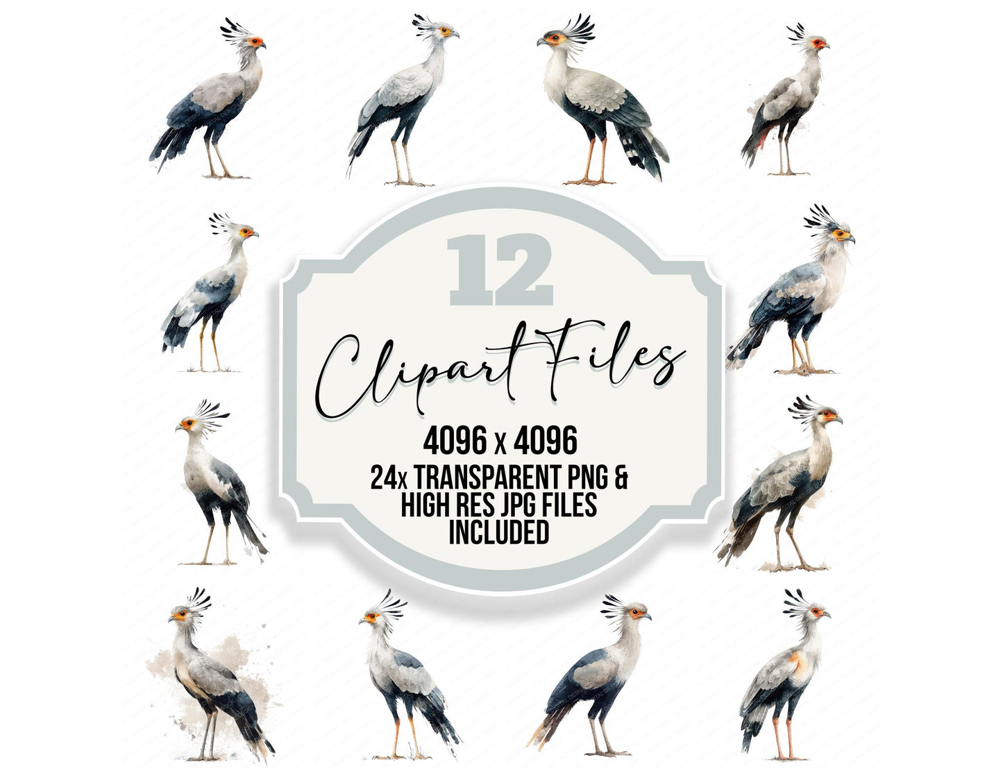 Secretary Exotic Bird Clipart Set (DDD008223)