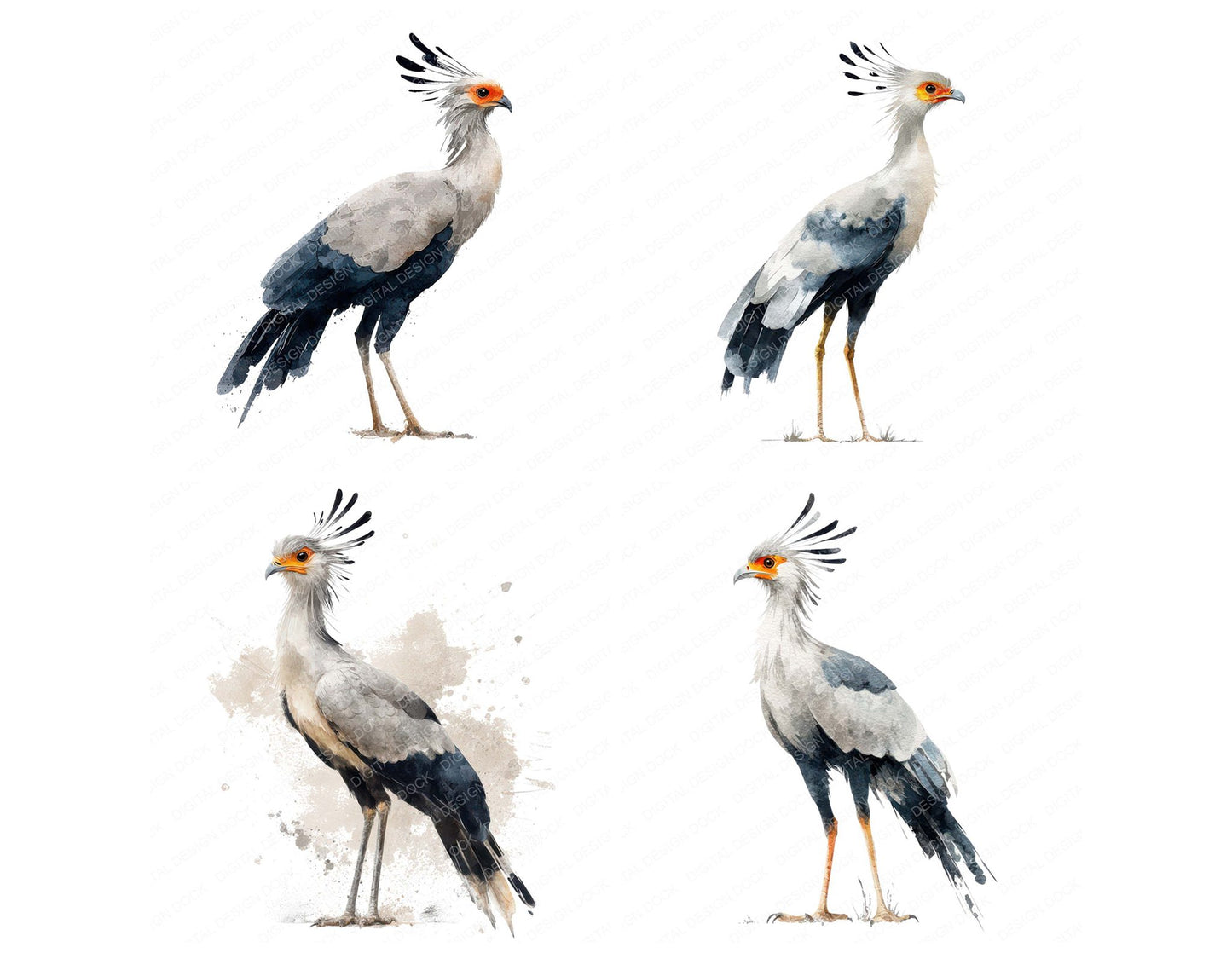 Secretary Exotic Bird Clipart Set (DDD008223)