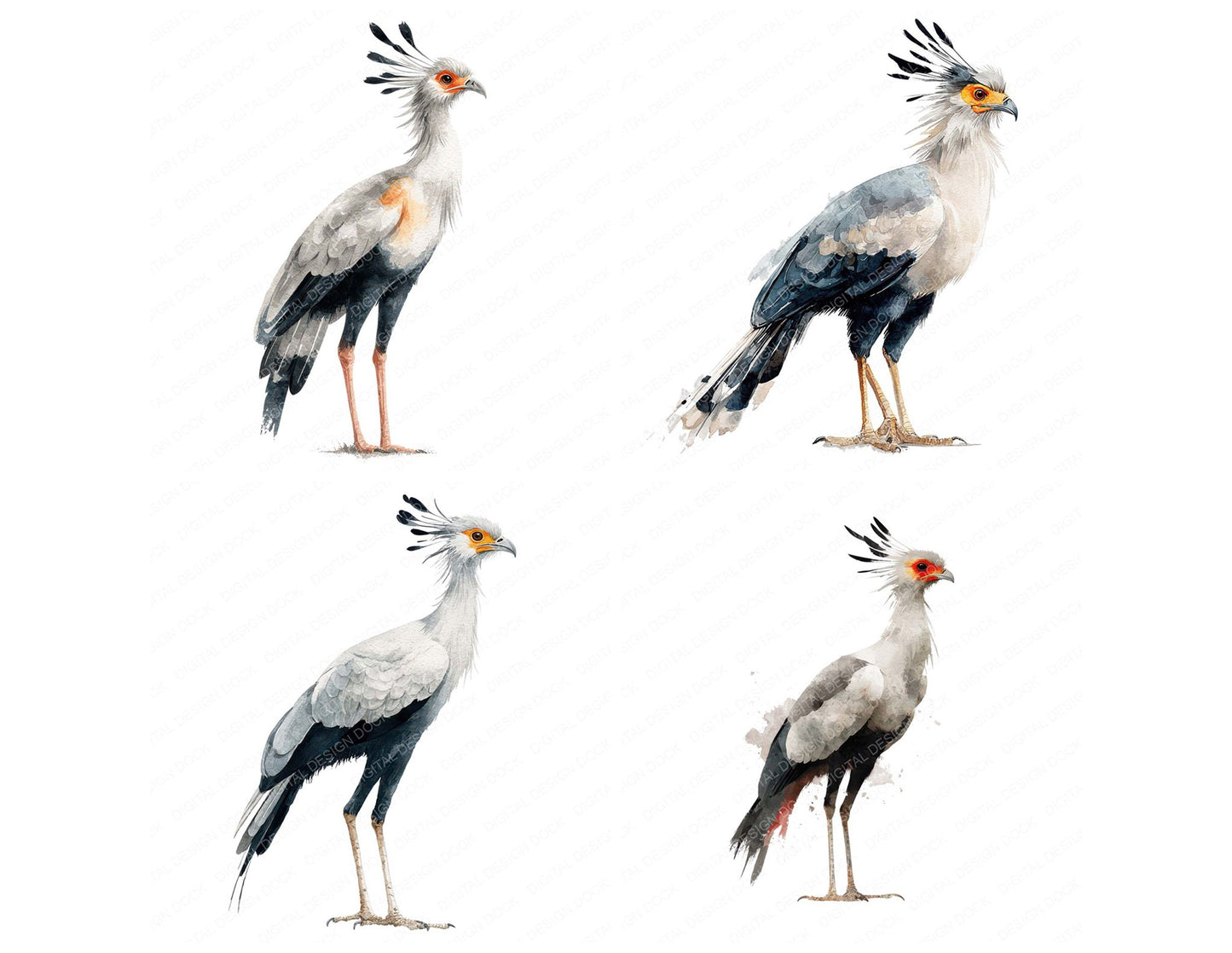 Secretary Exotic Bird Clipart Set (DDD008223)