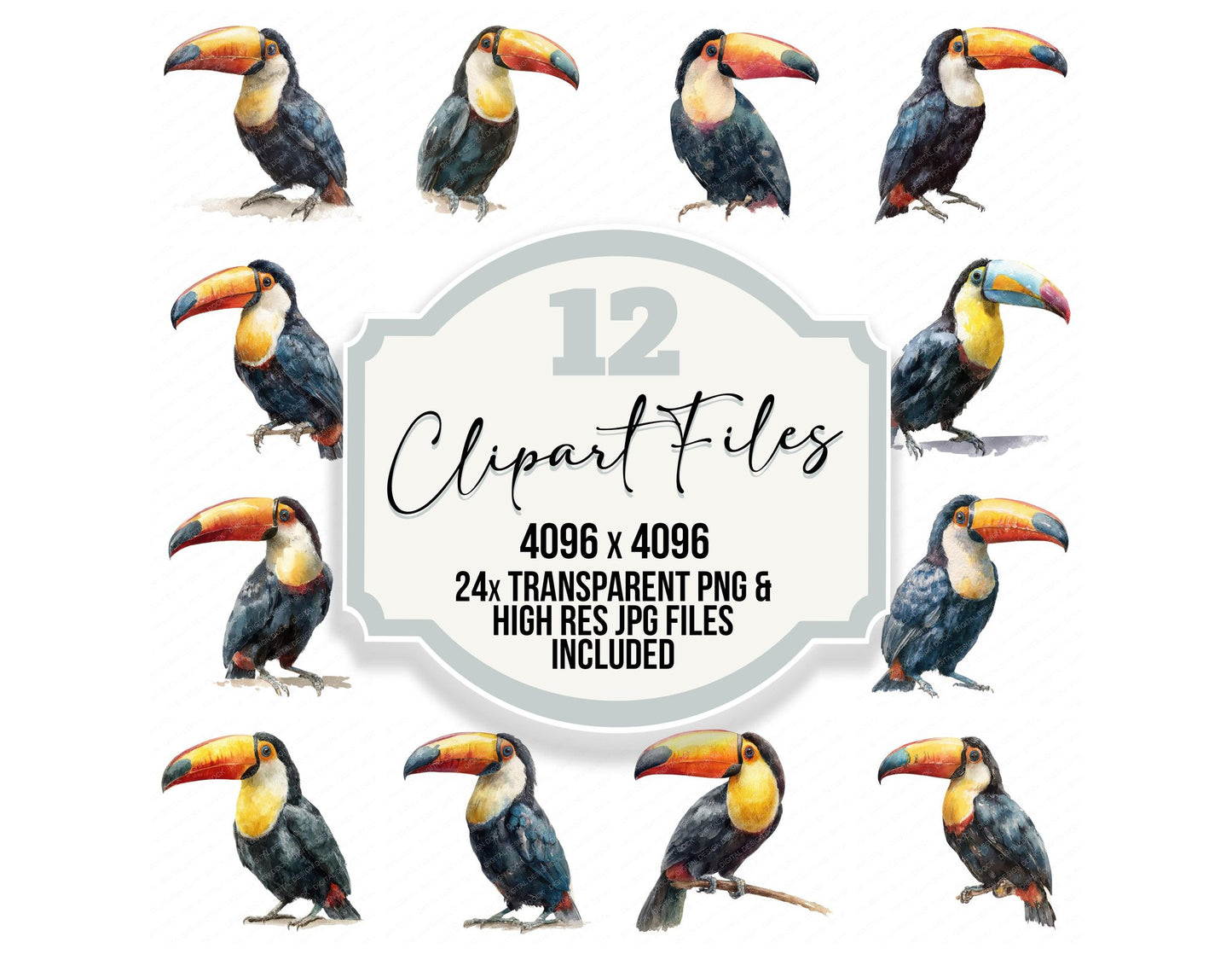 Toucan Exotic Bird Clipart Set (DDD008225)