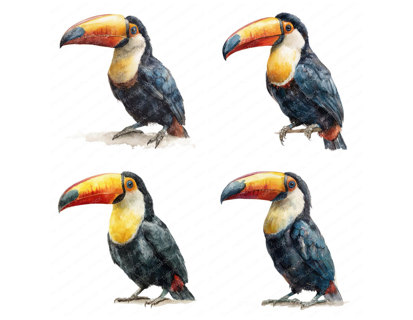 Toucan Exotic Bird Clipart Set (DDD008225)