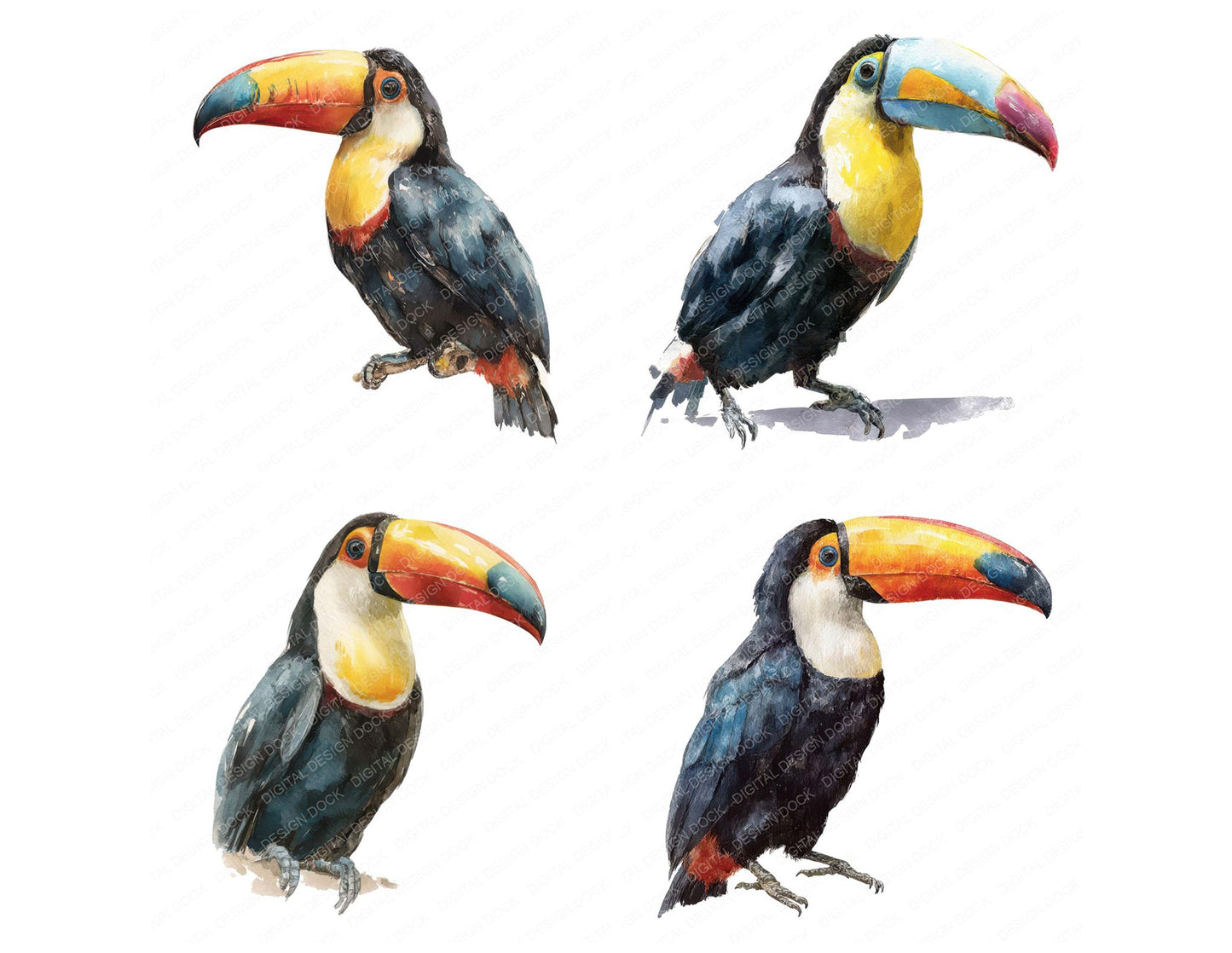 Toucan Exotic Bird Clipart Set (DDD008225)