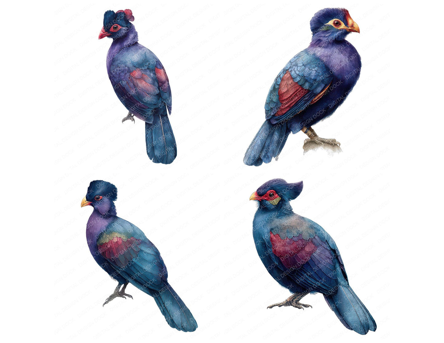 Violet Turaco Exotic Bird Clipart Set (DDD008226)