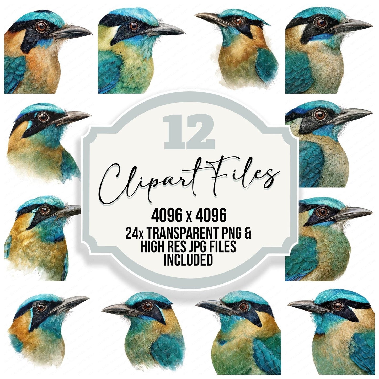 Blue Crowned Motmot Exotic Bird Portrait Clipart Set (DDD008228)