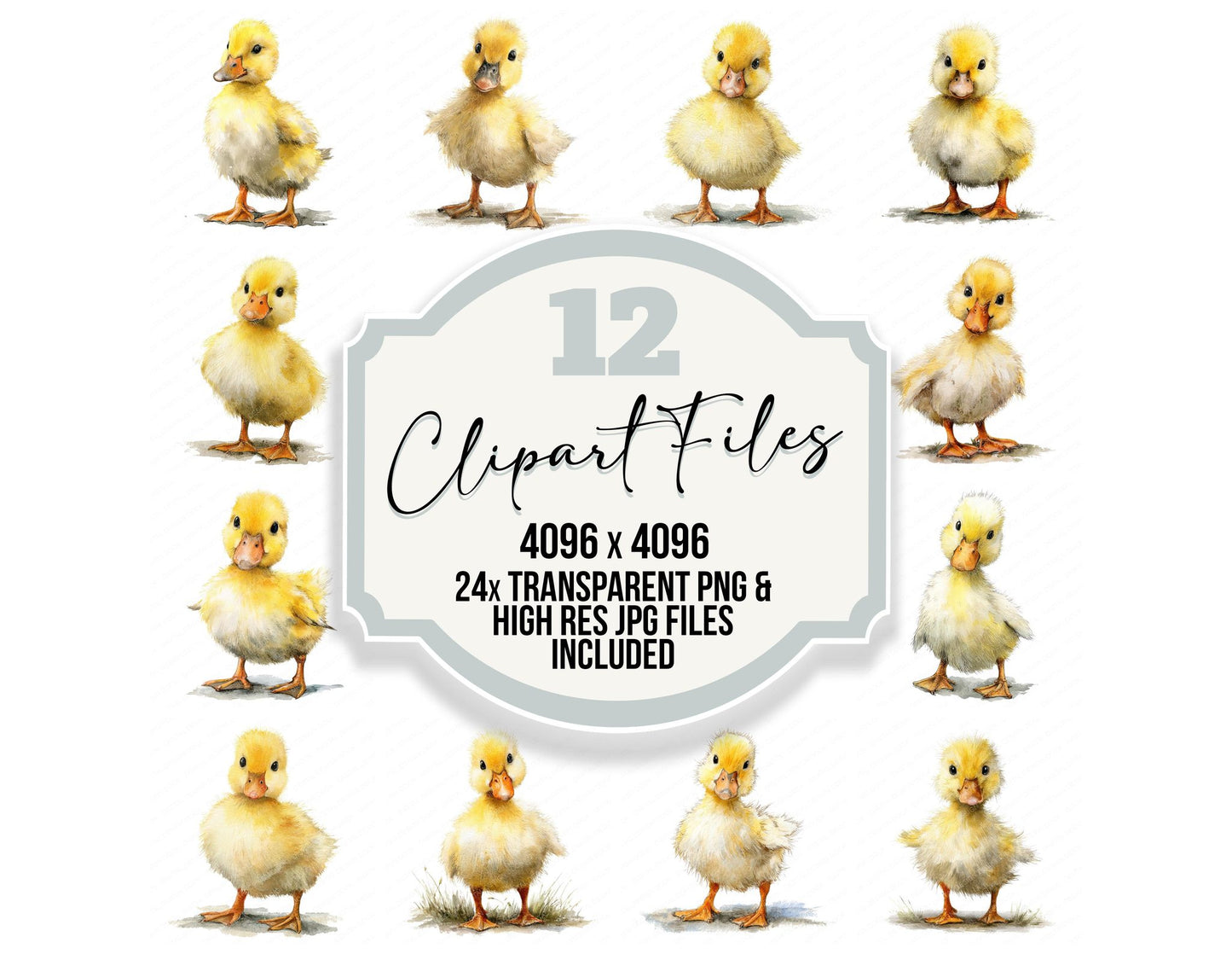 Cute Little Duckling Clipart Set (DDD008231)