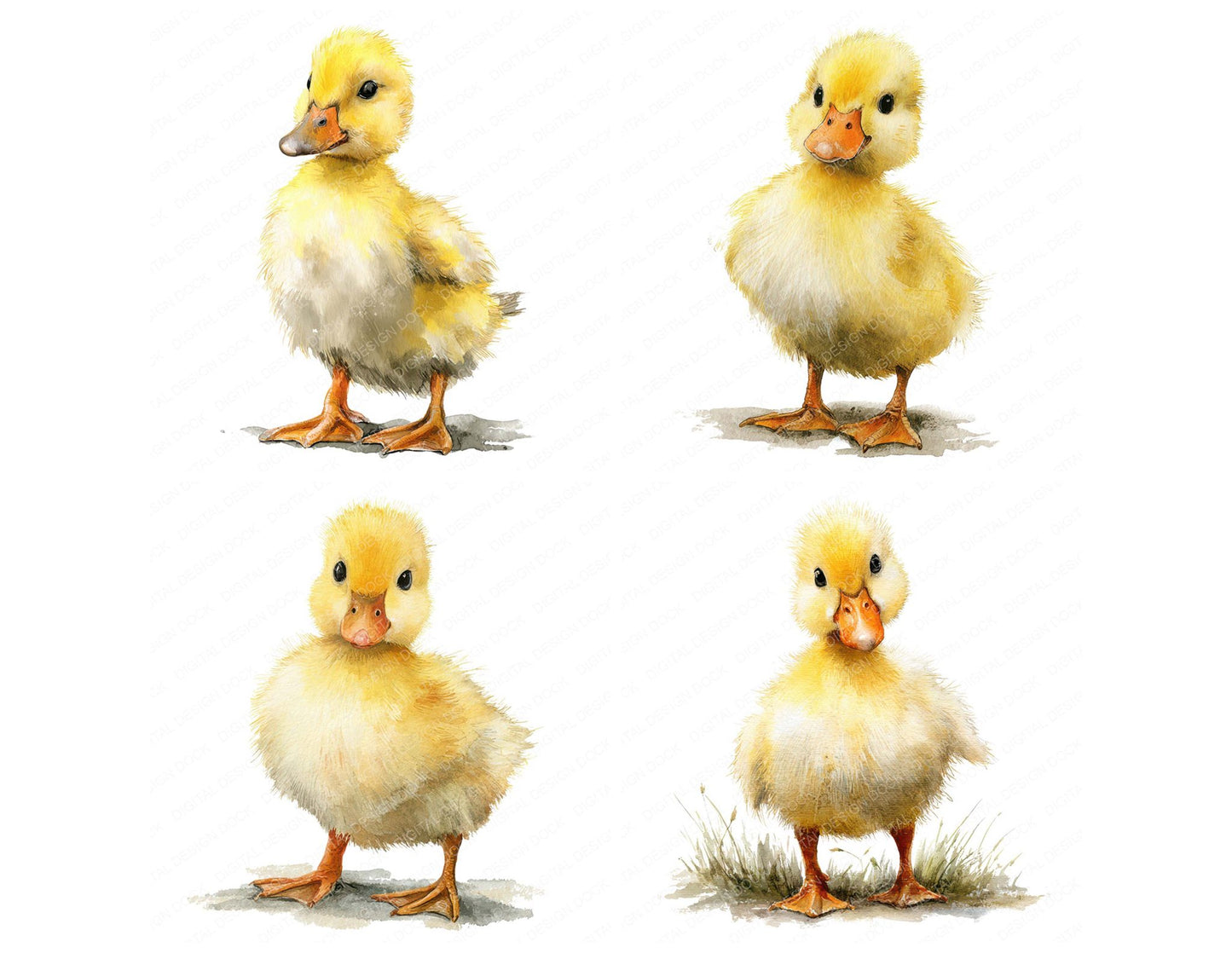 Cute Little Duckling Clipart Set (DDD008231)