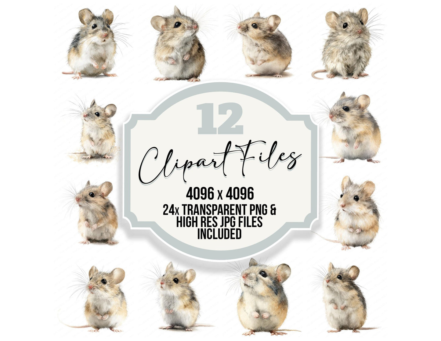 Cute Little Field Mouse Clipart Set (DDD008232)