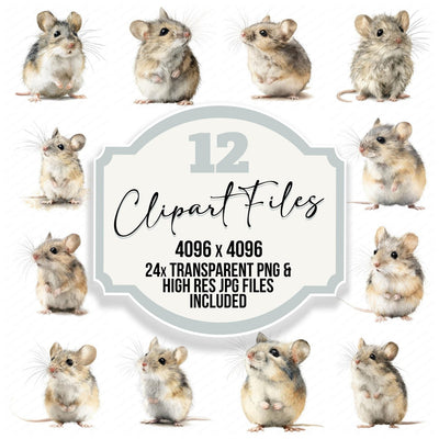 Cute Little Field Mouse clipart set cover showing the designs and file details