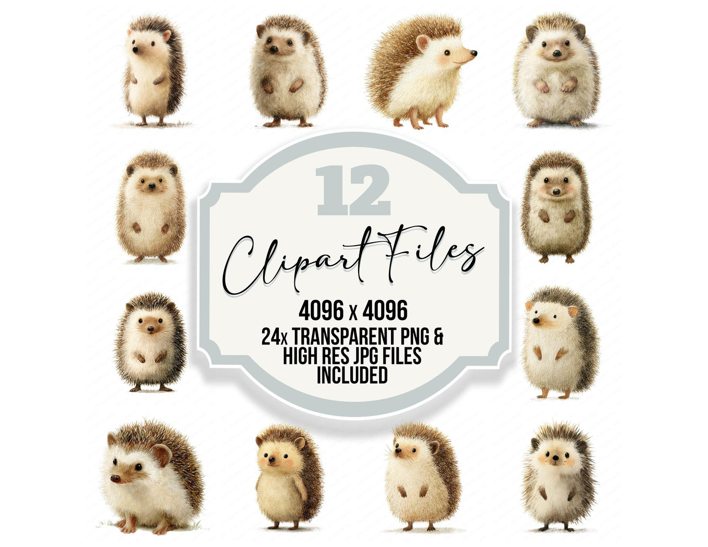 Cute Little Hedgehog Clipart Set (DDD008233)