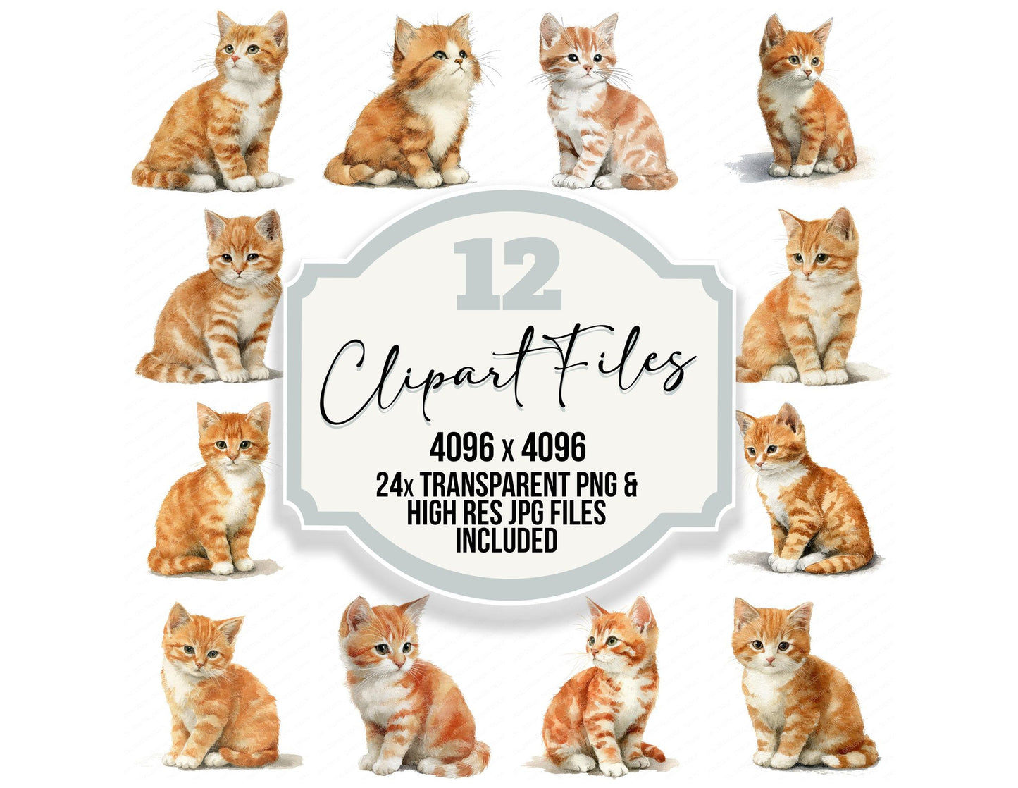 Cute Little Kitten Clipart Set (DDD008234)