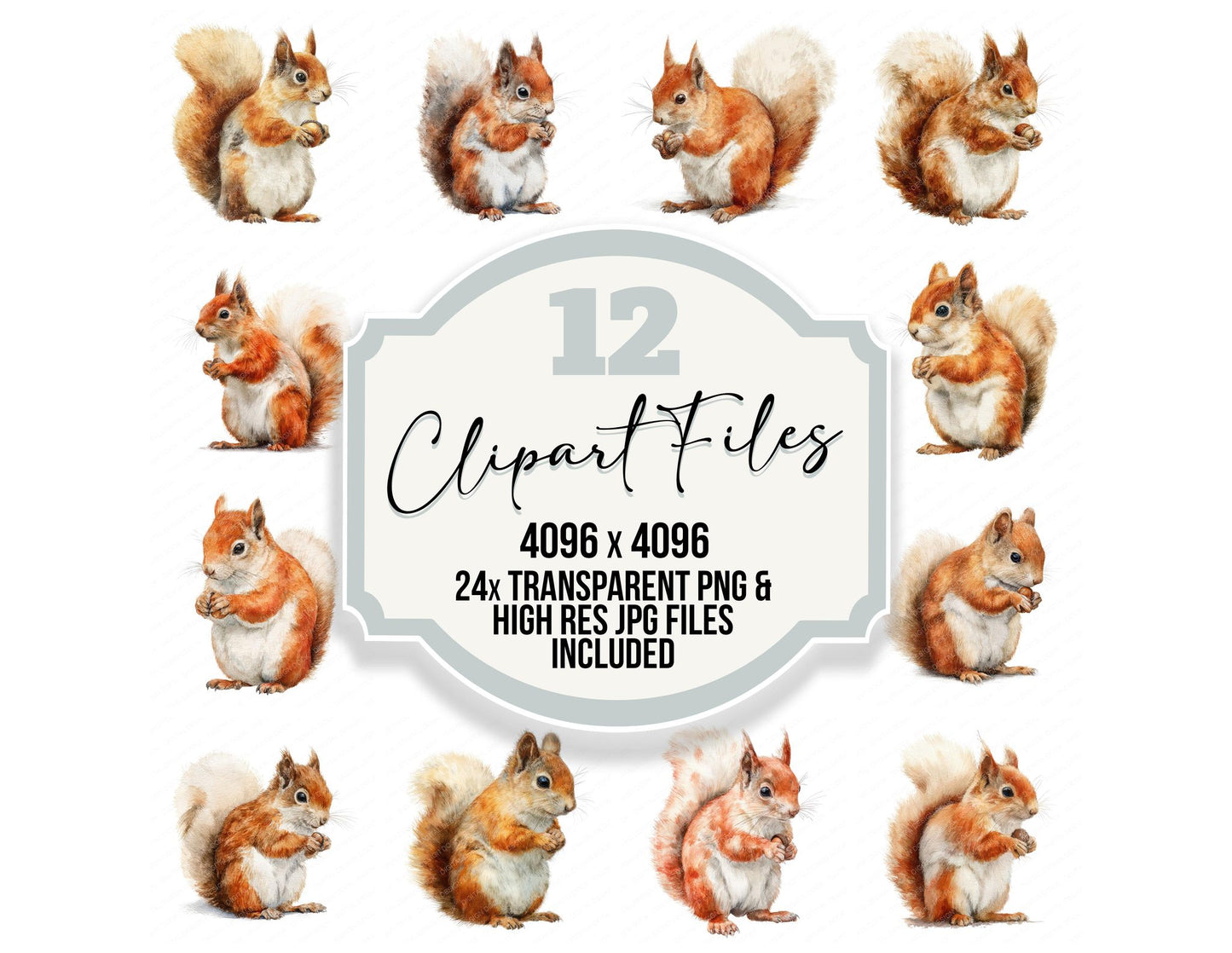 Cute Little Squirrel Clipart Set (DDD008237)