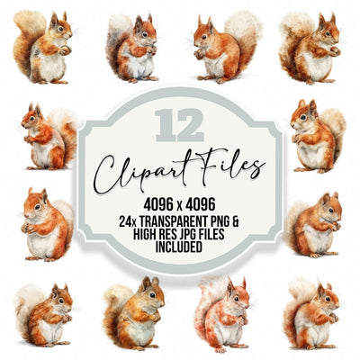 Cute Little Squirrel Clipart Set (DDD008237)