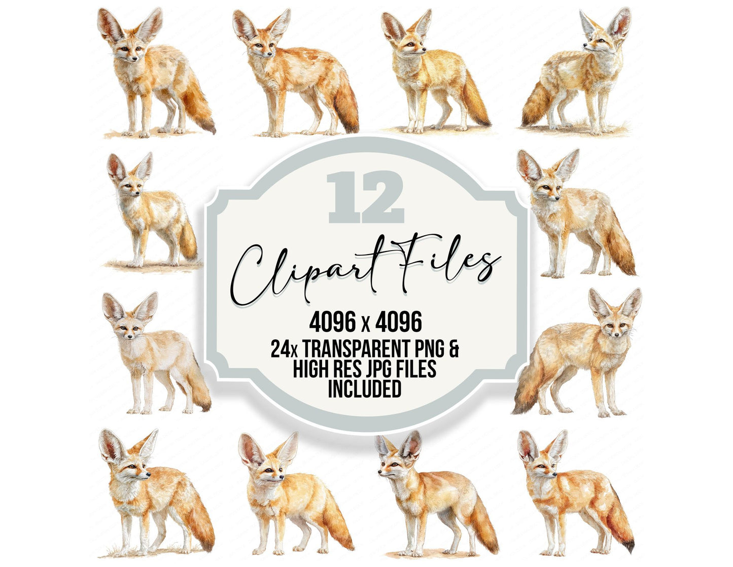 Fennec Fox Exotic Animal Clipart Set (DDD008238)