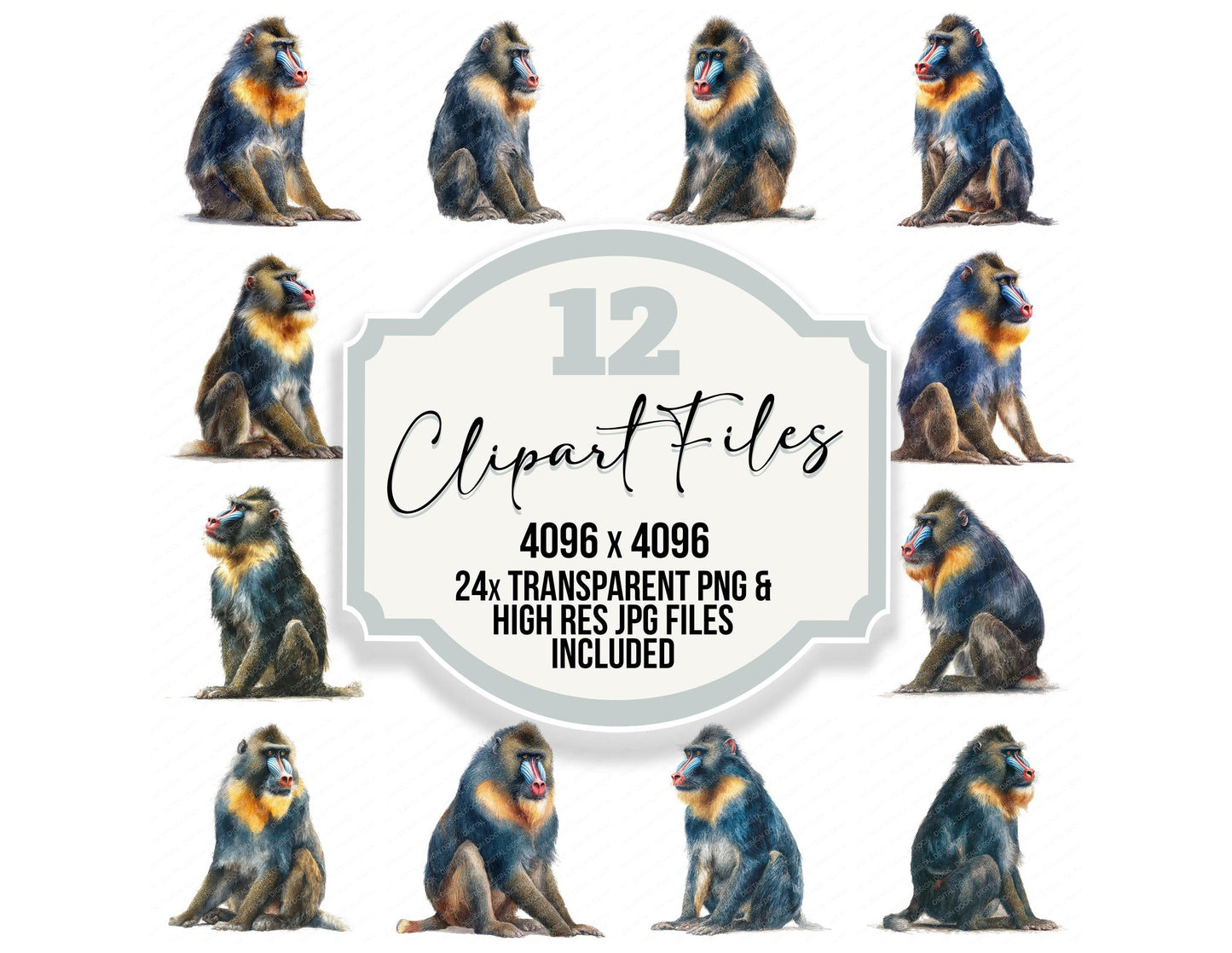 Mandrill Exotic Animal Clipart Set (DDD008241)