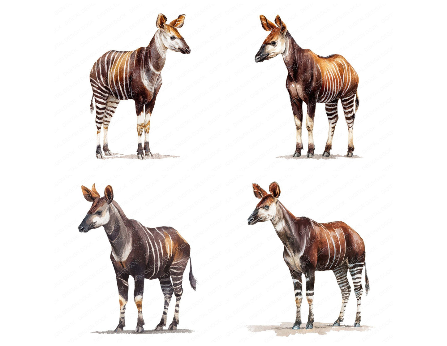 Okapi Exotic Animal Clipart Set (DDD008242)