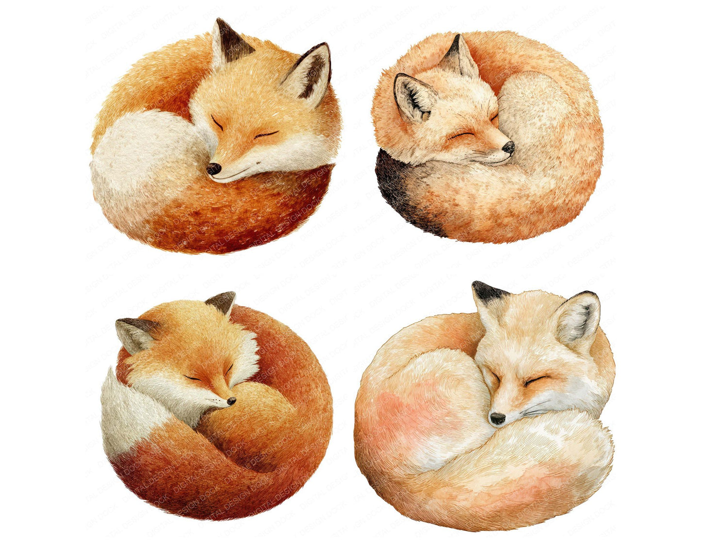 Sleeping Little Fox Clipart Set (DDD008246)