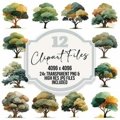Minimal Oak Tree Clipart Set (DDD008283)