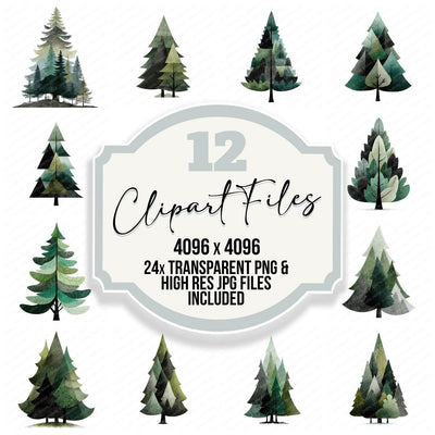 Minimal Pine Tree Clipart Set (DDD008285)