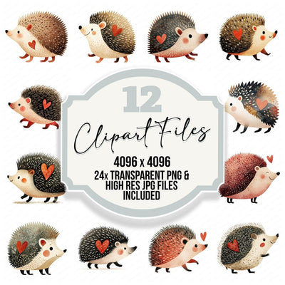 Minimal Hedgehog Love Clipart Set (DDD008302)